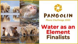 Water as an Element Finalists in The Pangolin Photo Challenge