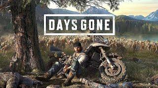 Гайд по прохождению и выживанию - Days Gone - Полный гайд