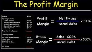 Profit Margin Gross Margin and Operating Margin - With Income Statements