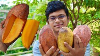 বিদেশি রঙিন আম গুলো কেমন খেতে ? কিং অফ চাকাপাত l চিয়াং মাই l কিউজাই l mango taste review