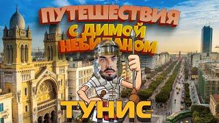 Тунис с Димой НеБиланом 2024 4k