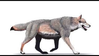 Dire Wolf Sounds