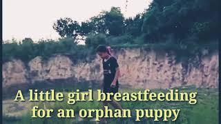 A little girl gives breastfeeding to an orphan puppy