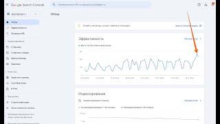 Результат роста видимости сайта под Гугл и Яндекс динамика в Seo 2024