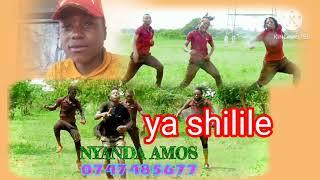 nyanda Amosi  ft gude gude yashilile official music audio 2024 apuloand by ishokela record