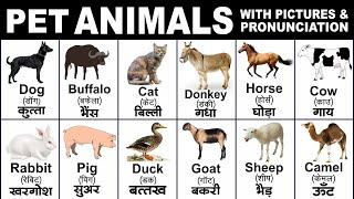 Domestic animals name with spelling  domestic animals name with pronunciation  pet animals