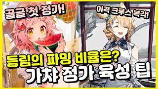 골든글로우 정가 꼭 쳐야할까? + 등림의 오퍼 파밍 관련 팁 『 명일방주 』