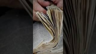 ️ ASMR Crinkly Old Book Page Turning #asmr #shorts #pageturning