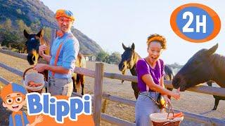 Help Blippi Feed His Horse + More  Blippi and Meekah Best Friend Adventures