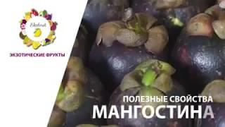 Ekofruit полезные свойства мангостина