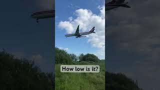 How low is this plane ?  Qatar aeroplane landing #qatarairways #landing #spottingplane #heathrow