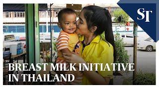 Breast milk initiative in Thailand  The Straits Times