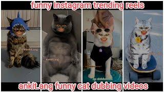 Ankit.ang funny cat dubbing videos part- 7   funny Instagram trending reels videos 