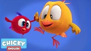 Wheres Chicky?  CHICKYS LITTLE FRIEND  Chicky Cartoon in English for Kids