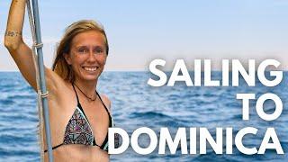 Sailing to DOMINICA And he dropped WHAT overboard? - Caribbean Boat Life