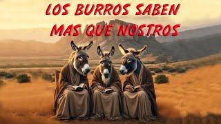 LOS BURROS SABEN MÁS QUE NOSOTROS