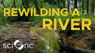 Why is it bad for a river to be straight?  Sci NC  PBS North Carolina