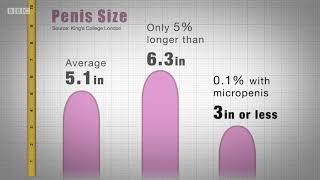 Penis sizes average more than average micro