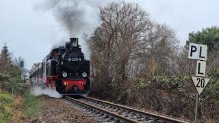 Zwischen Weihnachten und Silvester bei der Bäderbahn MolliTeil 1Kühlungsborn West-Kühlungsborn Ost