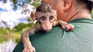 Monkey BiBi had memorable experiences - catching snails - swimming - cooking in the forest