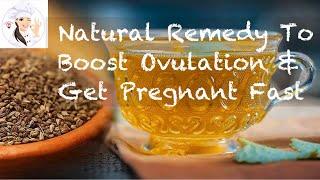 Home Remedy to get Pregnant fast Natural Remedy to boost ovulation and get pregnant fast