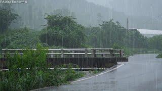 Heavy Rain Sound Falling on a Quiet Country Road  Rain Sound for Overcoming Insomnia Deep Sleep