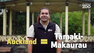 Te Wiki o Te Reo Māori with Hōhepa - Tāmaki Makaurau