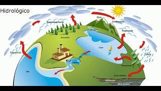 Formación de la Precipitación