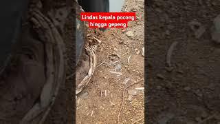 Viral.. Lindas kepala pocong sampe gepeng