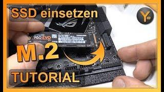 M.2 SSD richtig einsetzen  Anleitung