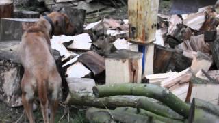 wood splitting with excavator