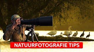 NATUURFOTOGRAFIE inzoomen of uitzoomen?  Natuurfotografie  Zoom.nl