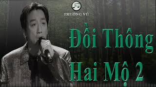 ĐỒI THÔNG HAI MỘ 2 - TRƯỜNG VŨ - HDMUSIC NHẠC LOSSLESS CHẤT LƯỢNG CAO - KHÔNG QUẢNG CÁO