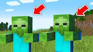 Playing Minecraft As A ZOMBIE