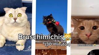 BRUSCHIMICHIS 30 minutos de risa  #bruschimichis #humor