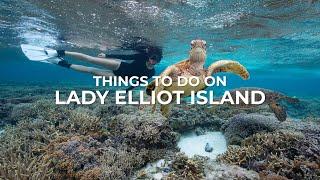 Things to do on Lady Elliot Island