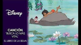 El Libro de la Selva Busca lo más vital  Disney Oficial