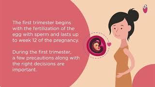 Doing it right in the first trimester of pregnancy  Motherhood Hospitals