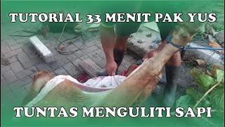 TUTORIAL 33 MENIT PAK YUS TUNTAS MENGULITI SAPI