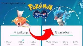 Pokemon Go 100 Magikarp evolves into Gyarados how to evolve Magikarp to Gyarados
