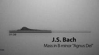 J.S. Bach Mass in B minor Agnus Dei Rasuloff Remix 2020