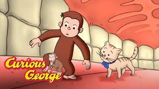 George Learns About Germs __ Curious George __ Kids Cartoons __ Videos for Kids