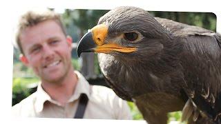 From Birth to First Flight - Eagle