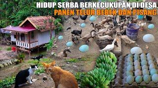 UANG TIDAK KELUAR KALAU TINGGAL DI DESA INI SERBA BERKECUKUPAN ⁉️ HIDUP DI RUMAH PONDOK KEBUN