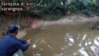 Umpan Jitu...Mancing di sungai kecil dengan umpan andalanstrike bertubi tubi