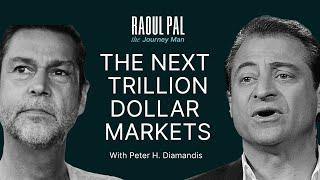 Why AI + Longevity Are The Next BIG THING w @peterdiamandis