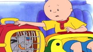 Caillou Deutsch  Caillou und die Kranke Katze  Cartoons auf Deutsch  Neue Ganze Folge  HD 2018 