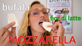 American Girl Tries Italian Mozzarella Mozzarella di Bufala v. Fior di Latte