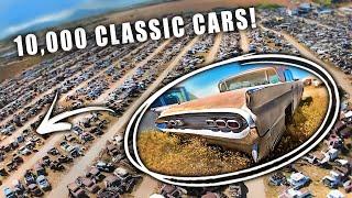 Ten Thousand Unrestored Classic Cars - This Place is Unbelievable