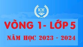 Đáp án IOE lớp 5 vòng 1 năm học 2023 - 2024